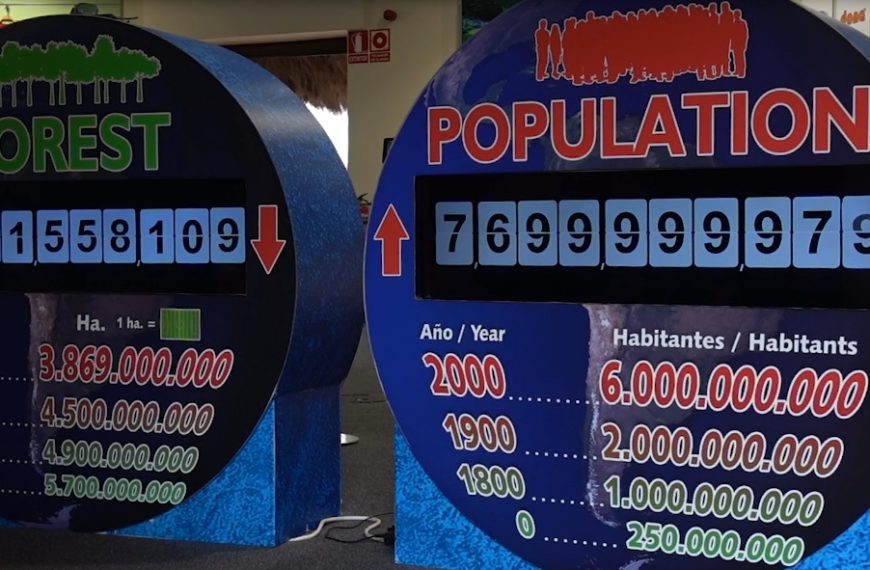 The Loro Parque’s World Population Clock breaks the 7,700 million barrier (2)