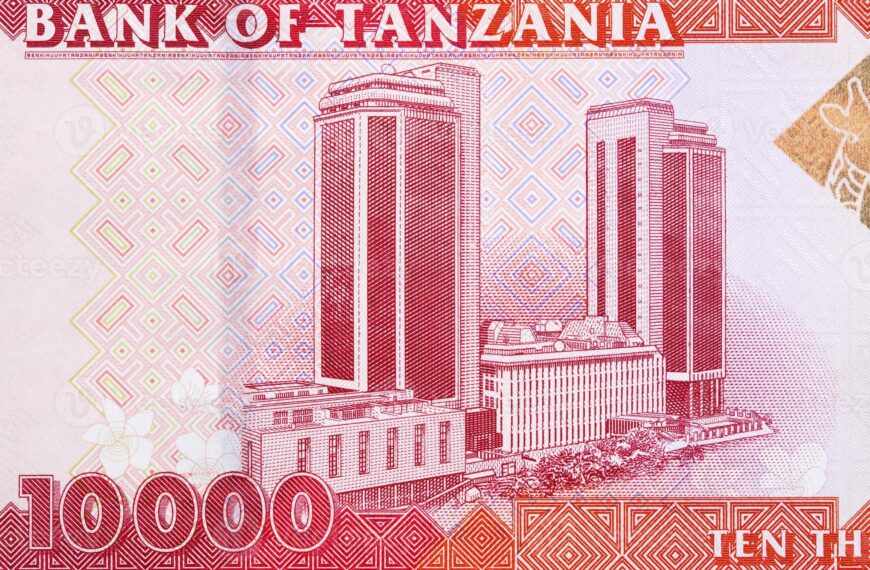 Tanzania Enters 2026 With Stronger Reserves and Stable Currency Outlook