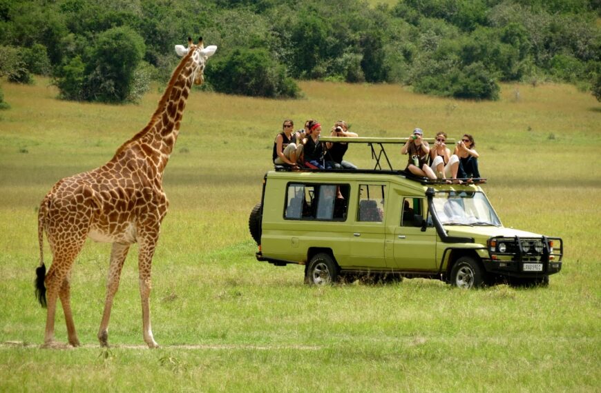 Tanzania Records Historic Tourism Growth, Strengthening Its Appeal to European Markets