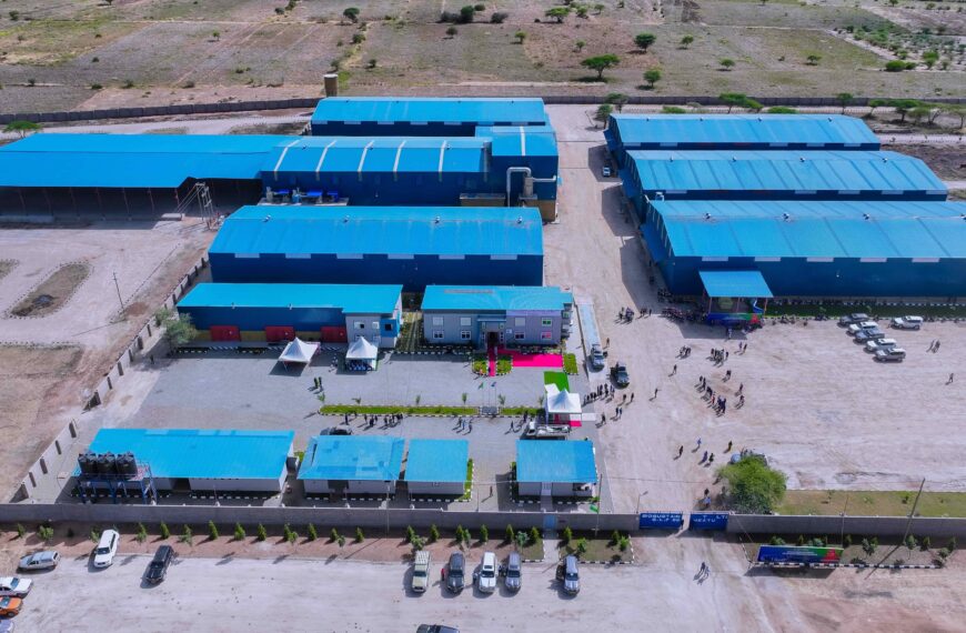Tanzania turns raw materials into value-added wealth, driving African industrial growth