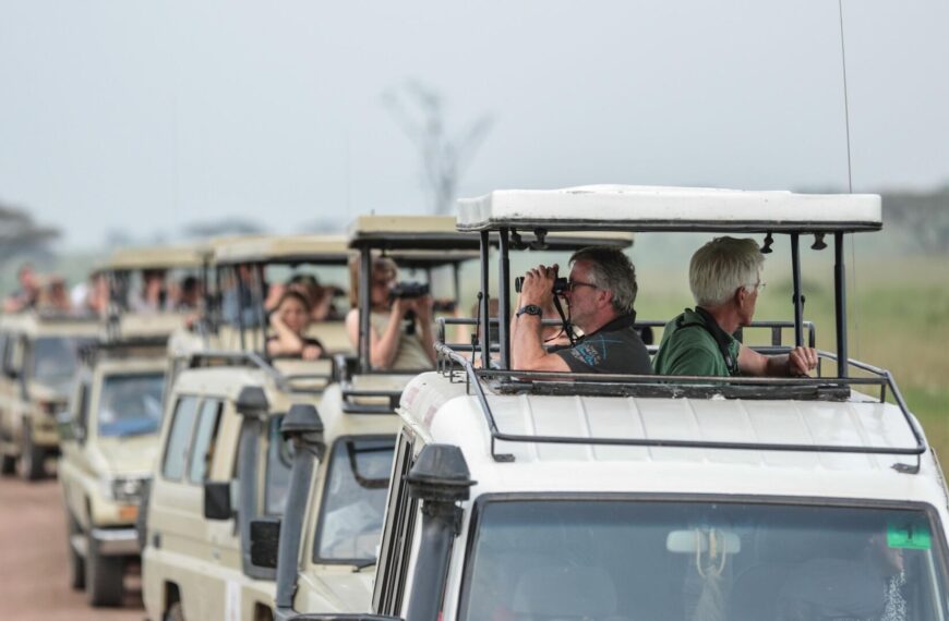 How ‘Amazing Tanzania’ Recaptured Global Attention