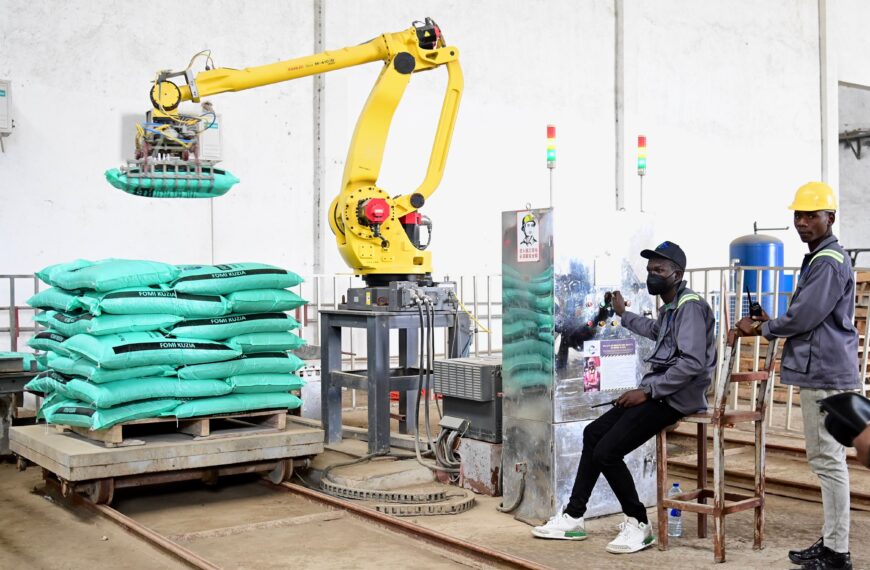 Tanzania Courts Processing investors with Incentives, Logistics Push and Regional Market Access