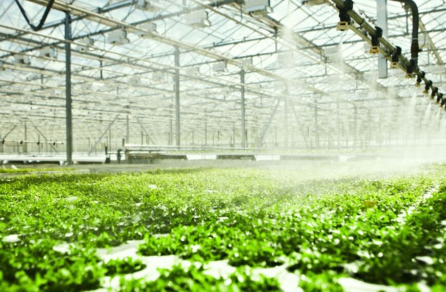 Record Investments Drive Job Creation and Industrial Growth in Tanzania