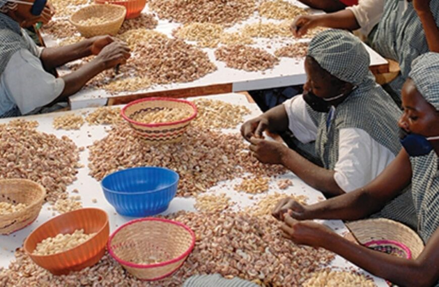 Tanzania’s rural industries are emerging as a quiet engine of inclusive growth