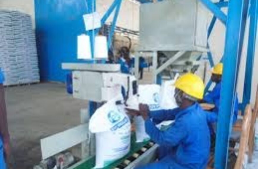 Tanzania’s industrial drive: Redefining East Africa’s economic future
