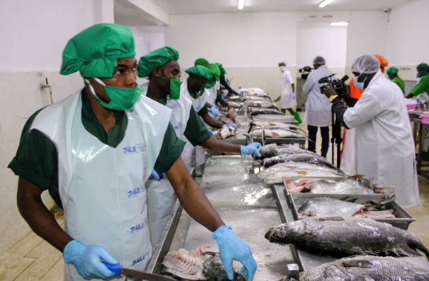 Tanzania moves to curb industrial fishing on Lake Victoria