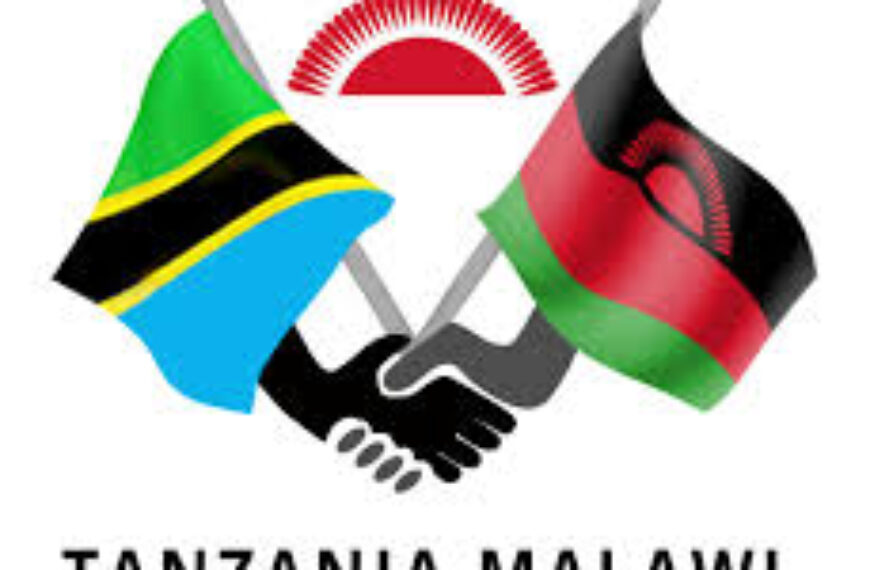Tanzania Expands Trade and Investment Links with Malawi as Bilateral Commerce Surges