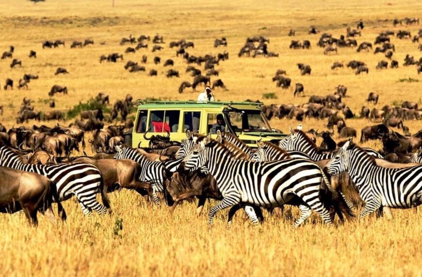 Tanzania’s Tourism Revenues Hit Record $4.2 Billion as Visitor Numbers Surge