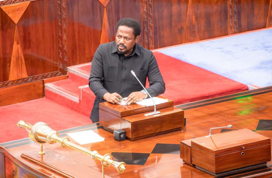 Tanzania Steps up Msimbazi Basin fFood-control Plan