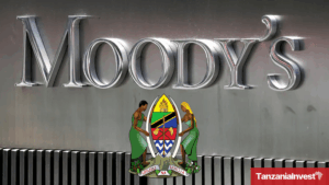 Tanzania Woos Indonesian Investment in Cosmetics Industry