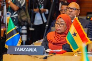 Africa pushes unified green agenda at AU climate summit