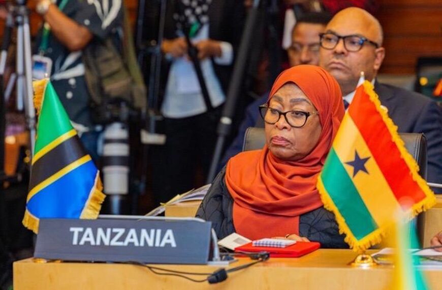 Africa pushes unified green agenda at AU climate summit