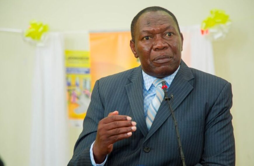 Stability central to Tanzania’s development path, former official says
