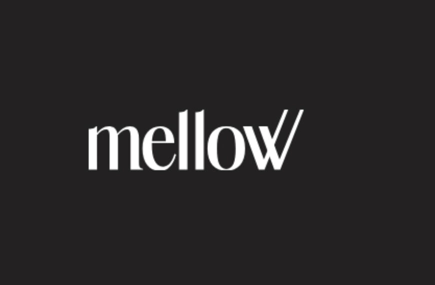 Mellow launches Contractor Management, powered by Airwallex, to simplify how companies hire and pay global teams