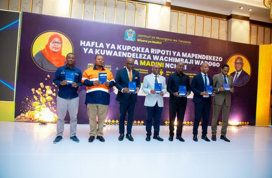 Tanzania unveils loan guarantee scheme to boost small-scale mining