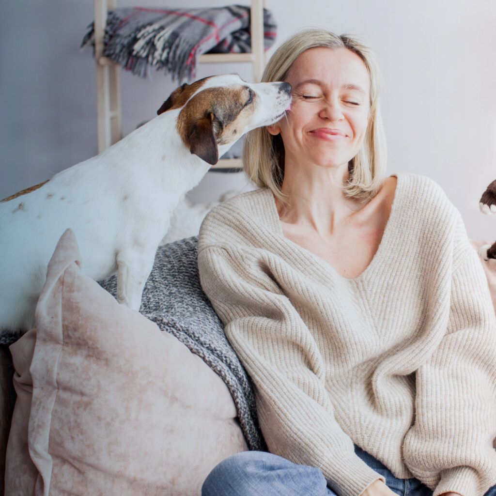 ICE-Tech backs new research to help shape the future of pet insurance and animal welfare