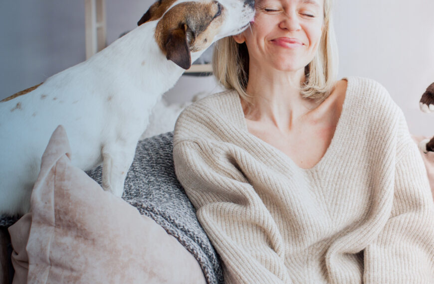 ICE-Tech backs new research to help shape the future of pet insurance and animal welfare
